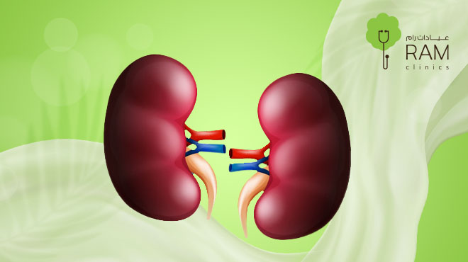 تحليل وظائف الكلى