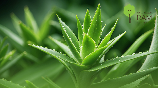 اضرار-حبوب-الصبار-للتنحيف