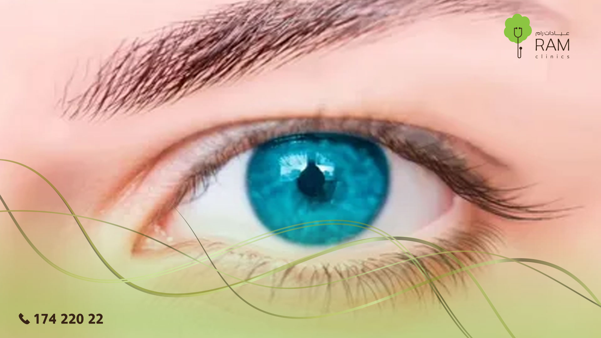 عيون الراكون